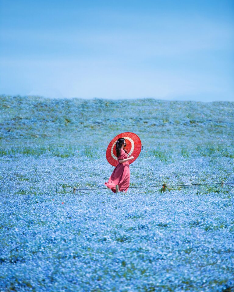 nguyen-tp-hai-THp31AqRxP8-unsplash