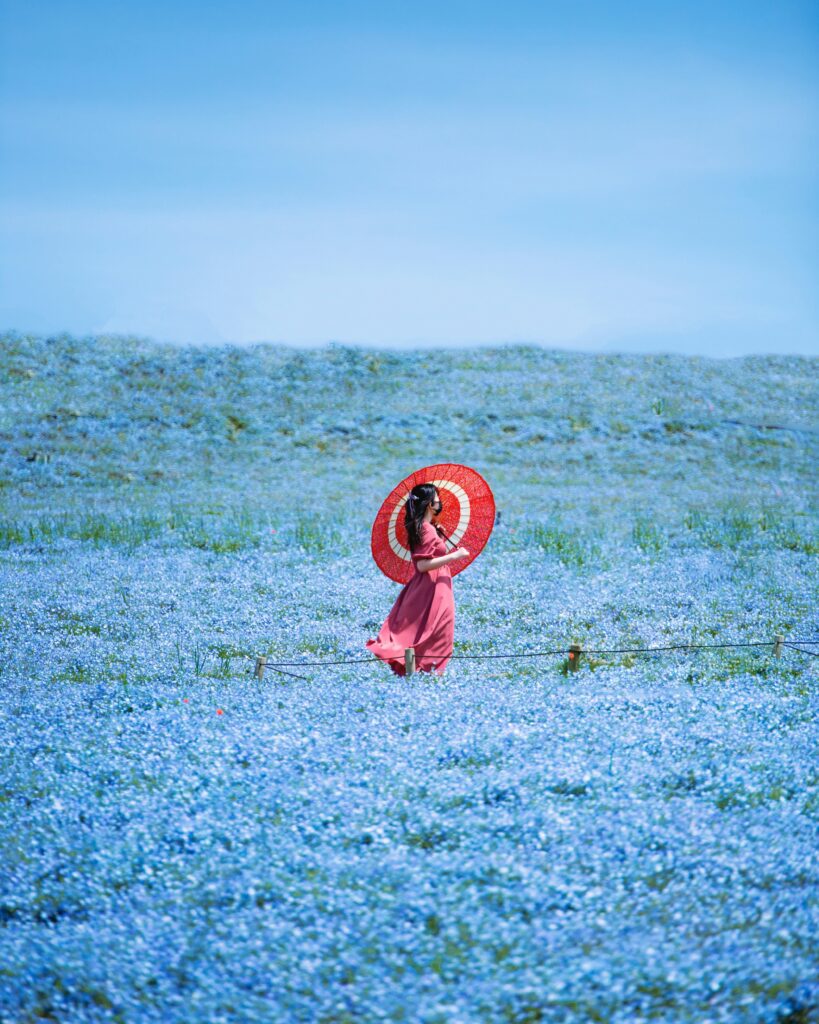 nguyen-tp-hai-THp31AqRxP8-unsplash