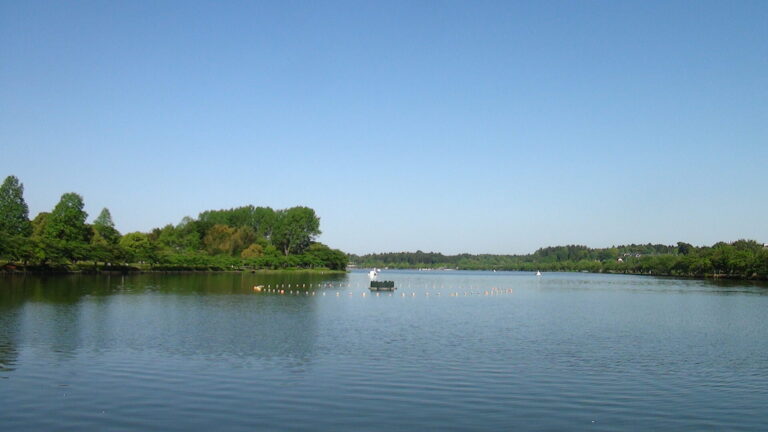 千波湖_-_panoramio_(75)