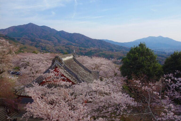雨引観音からの加波山と筑波山２